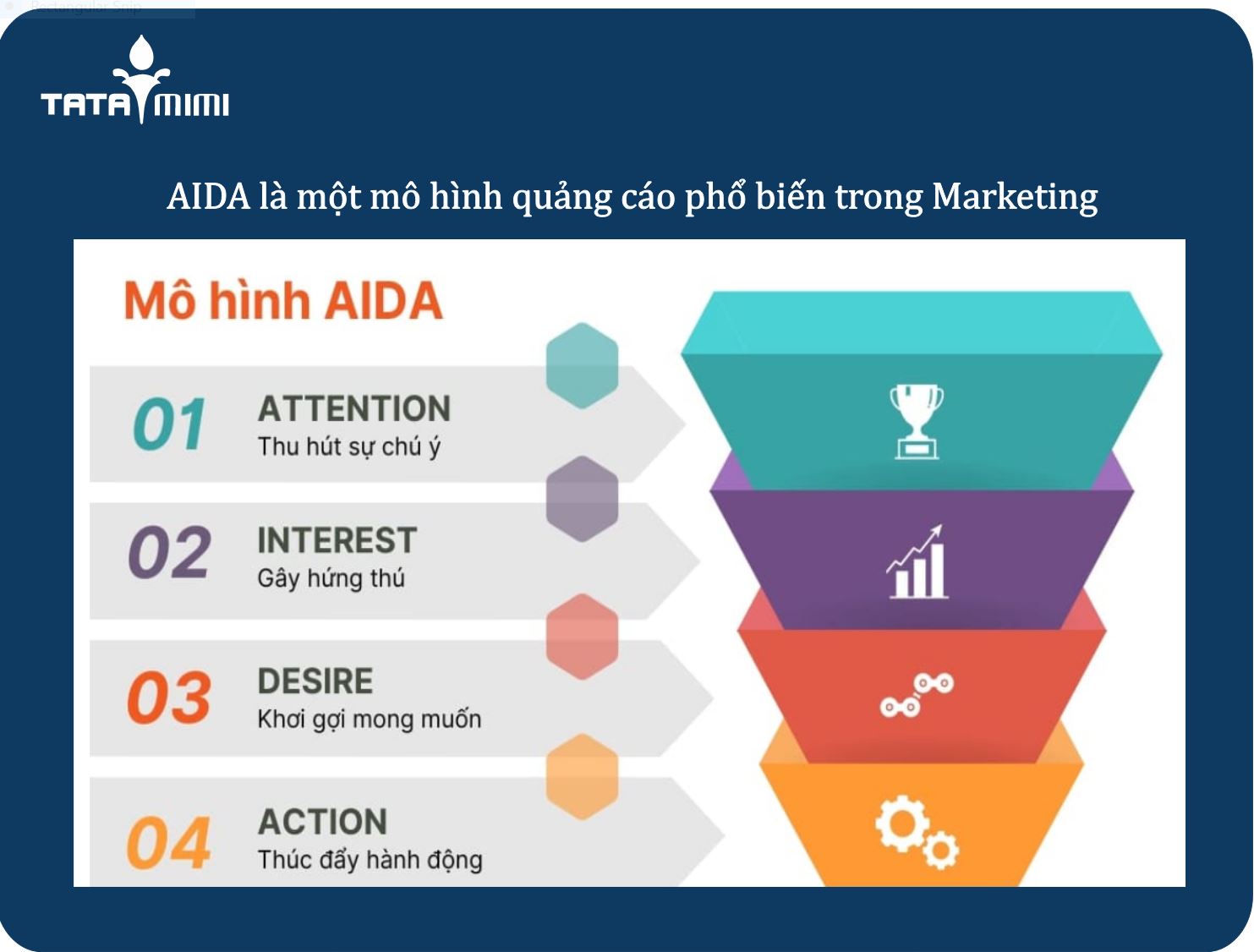 Mô hình AIDA là gì và vai trò của AIDA trong marketing?