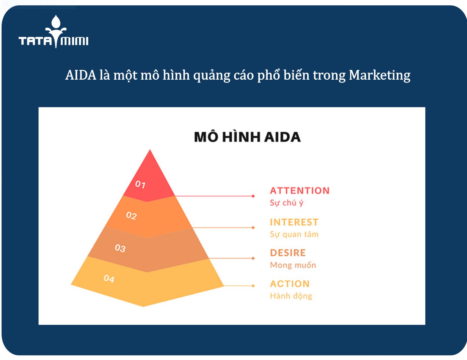 Mô hình AIDA là gì và vai trò của AIDA trong marketing?