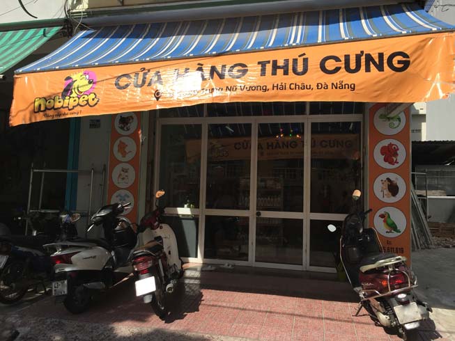 Các Địa Điểm Mua Bán Thú Cưng Đà Nẵng Uy Tín