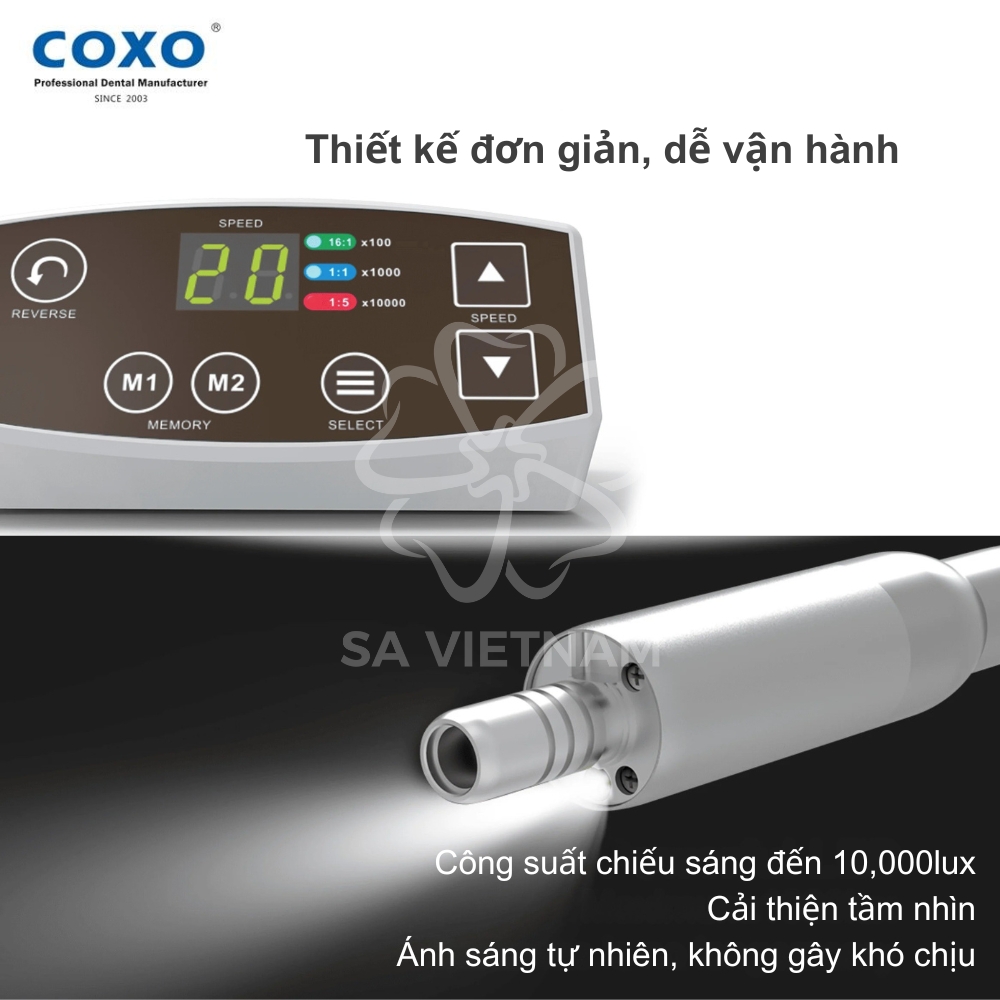 Động cơ motor điện Coxo C Puma