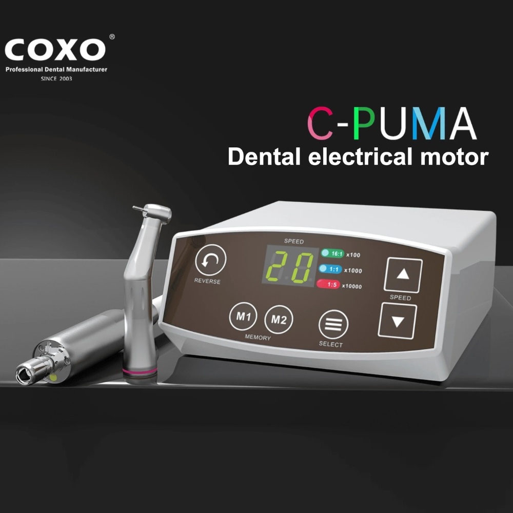 Động cơ motor điện Coxo C Puma