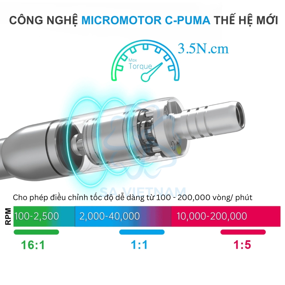 Động cơ motor điện Coxo C Puma