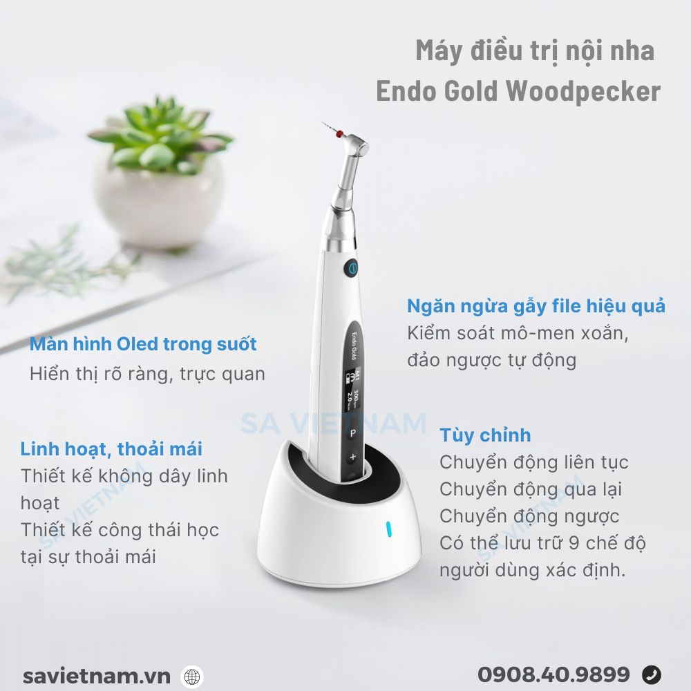 Máy điều trị nội nha Endo Gold Woodpecker