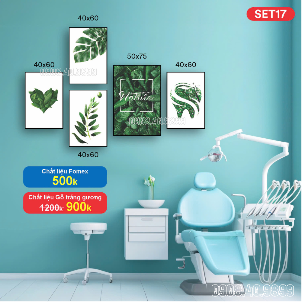 Set tranh nha khoa gỗ tráng gương