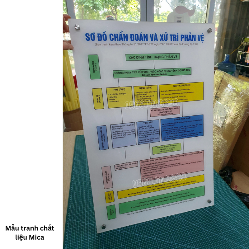 Tranh sơ đồ chẩn đoán và xử trí phản vệ