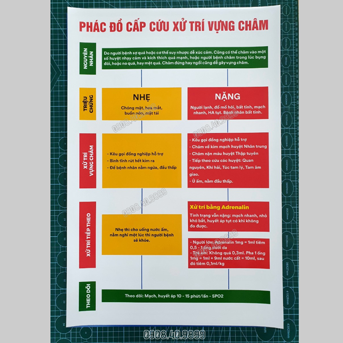 Tranh Phác đồ cấp cứu xử trí vựng châm