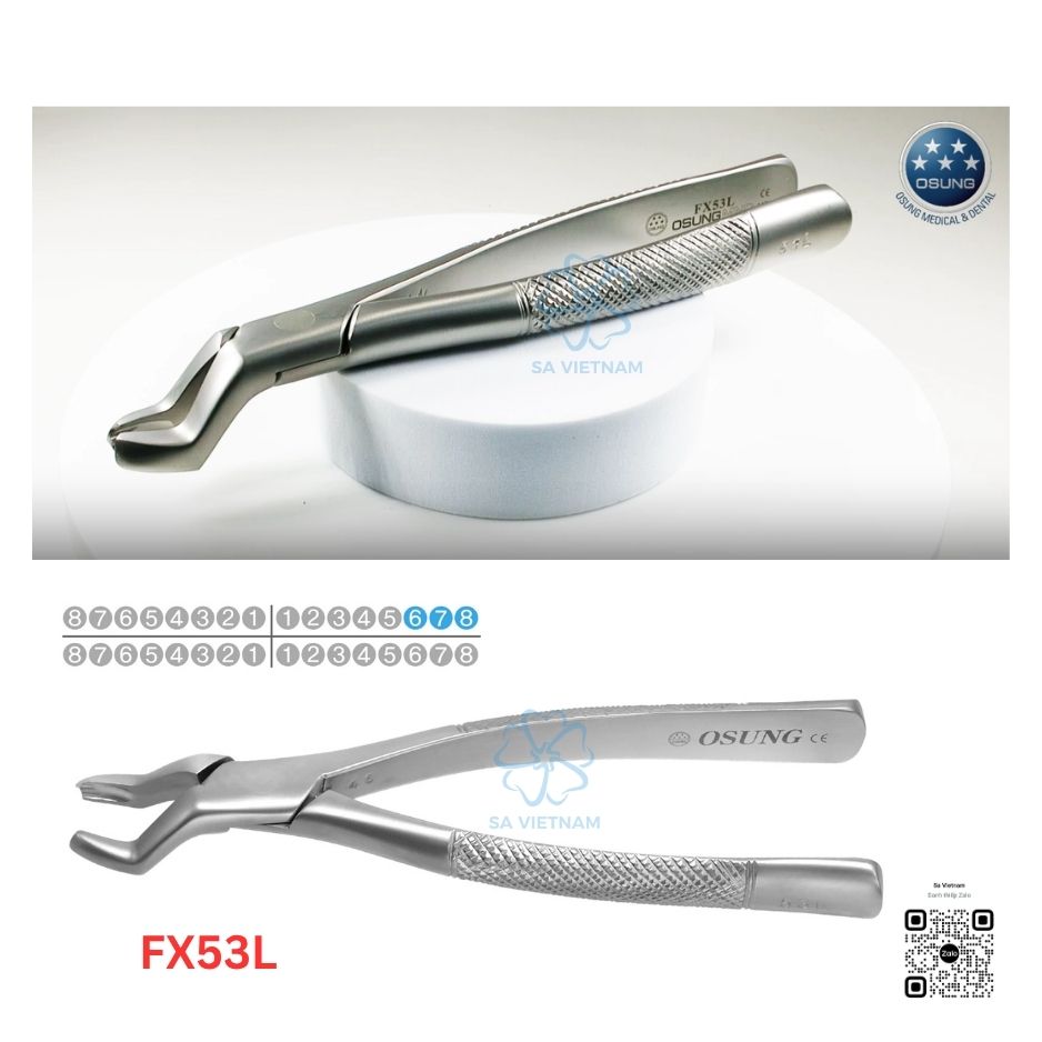 Kìm nhổ răng Extraction Forcep Osung - FX53L