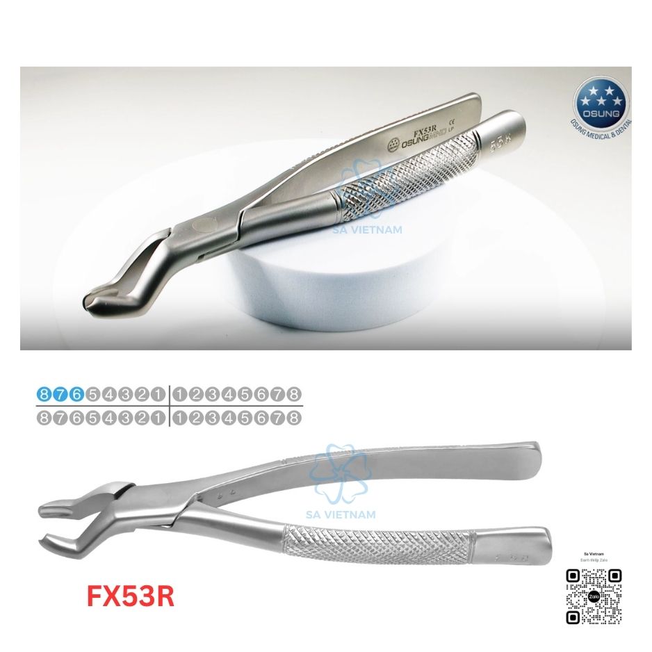 Kìm nhổ răng Extraction Forcep Osung - FX53R