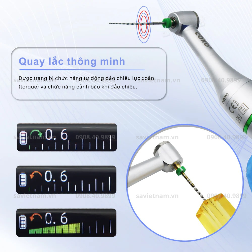 Máy nội nha COXO C Smart Mini 2