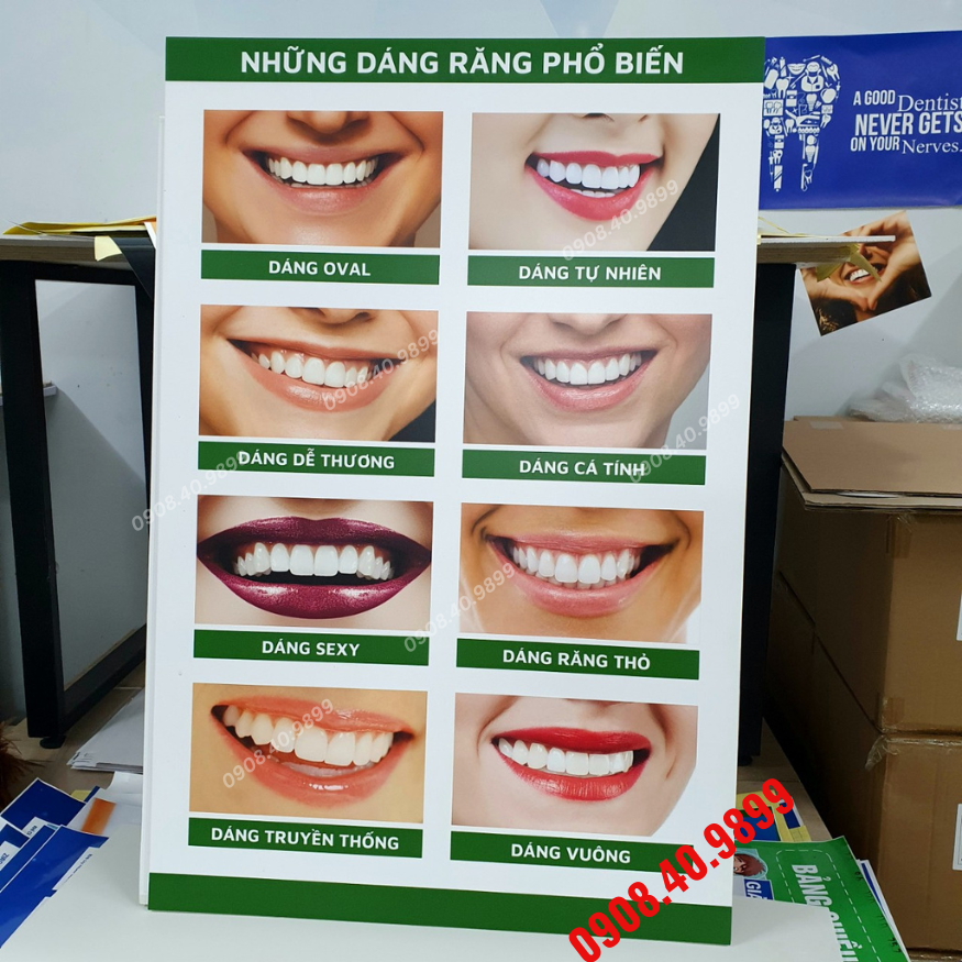 Tranh "Những dáng răng phổ biến"