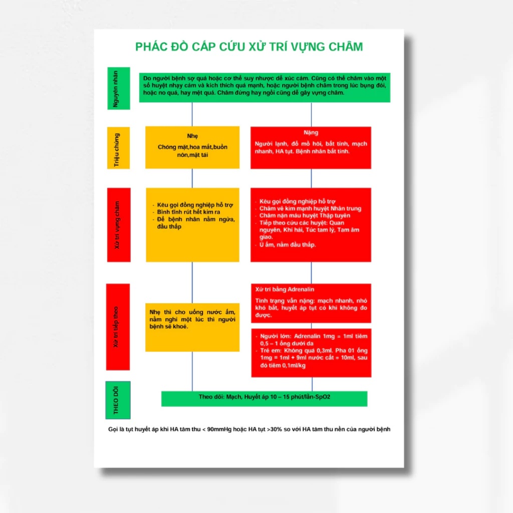 Tranh Phác đồ cấp cứu, xử trí vựng châm