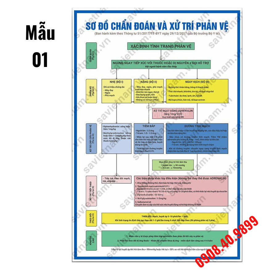 Tranh sơ đồ chẩn đoán và xử trí phản vệ
