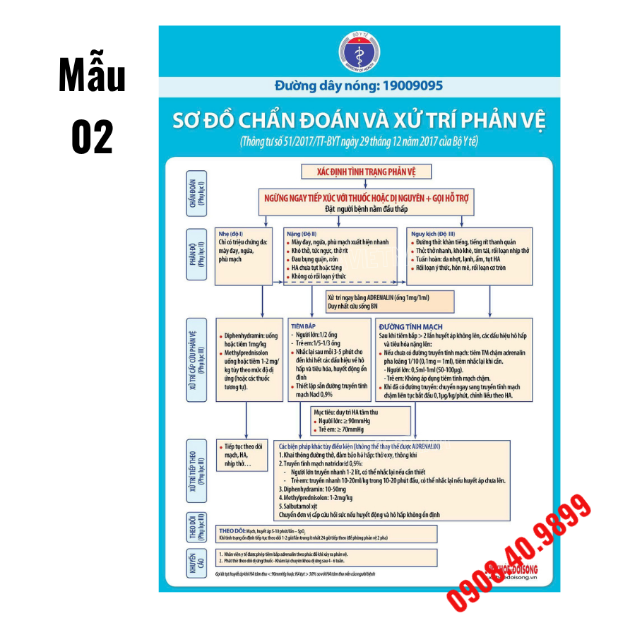 Tranh sơ đồ chẩn đoán và xử trí phản vệ