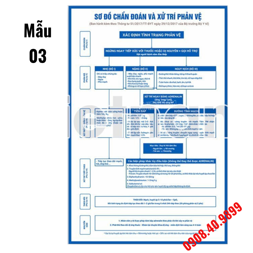 Tranh sơ đồ chẩn đoán và xử trí phản vệ