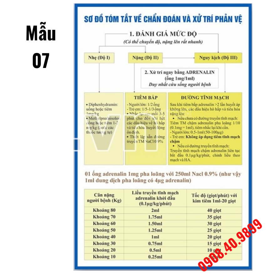 Tranh sơ đồ chẩn đoán và xử trí phản vệ