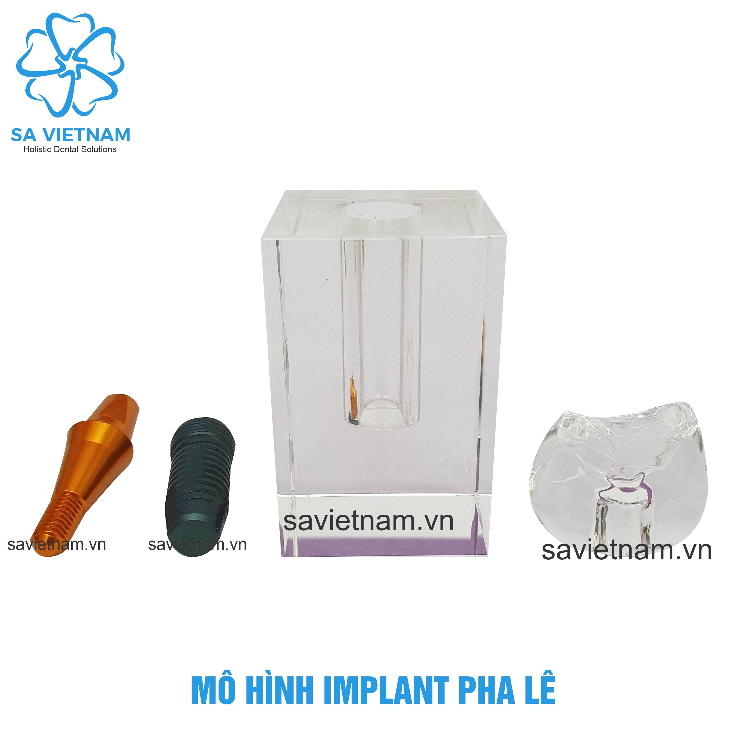 mô hình implant pha lê, mô hình tư vấn implant
