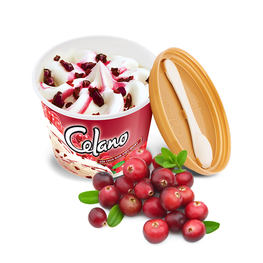 Kem ly cao cấp Sữa chua Nam việt quất Celano Hộp 125ml