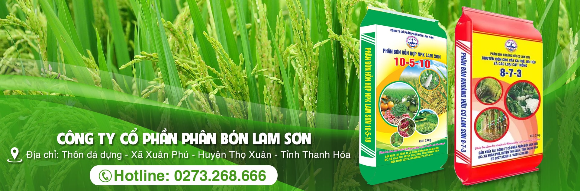 Công ty cổ phần phân bón Lam Sơn