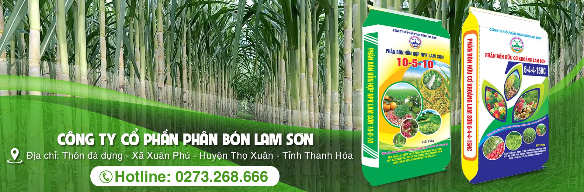 Công ty cổ phần phân bón Lam Sơn