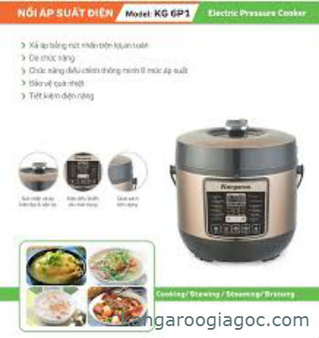 noi-ap-suat-dien-kangaroo-kg6P1