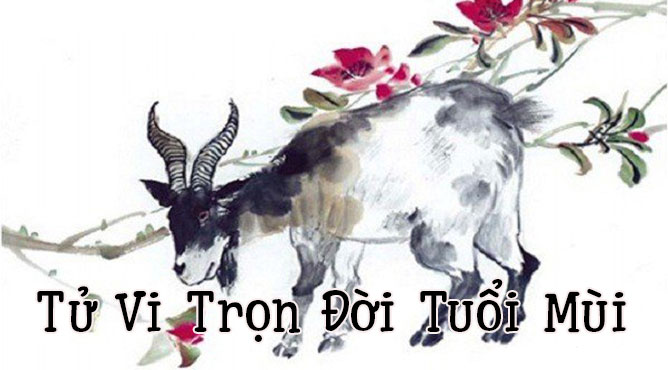 Tử vi hàng ngày đối với Tuổi Mùi