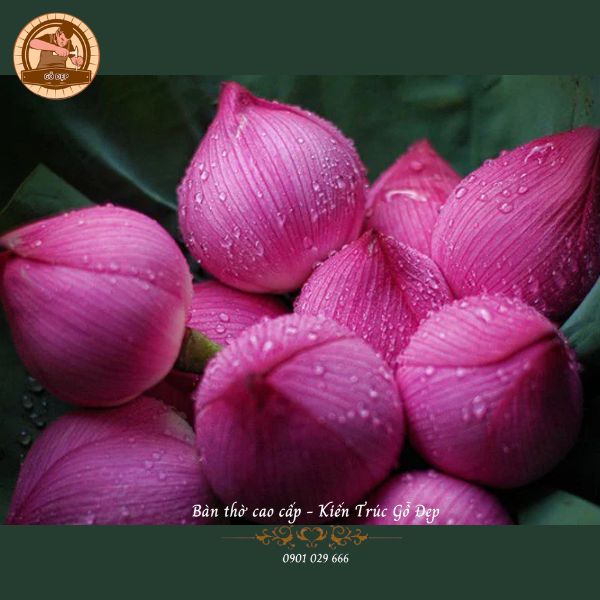 Lưu ý quan trọng gia chủ cần biết khi dâng hoa lên bàn thờ Phật