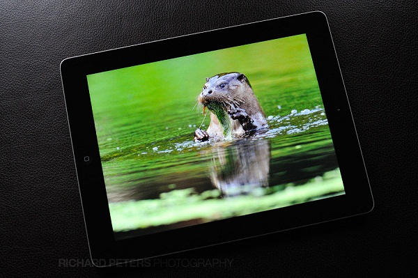 ipad-chinh-hang-hai-phong