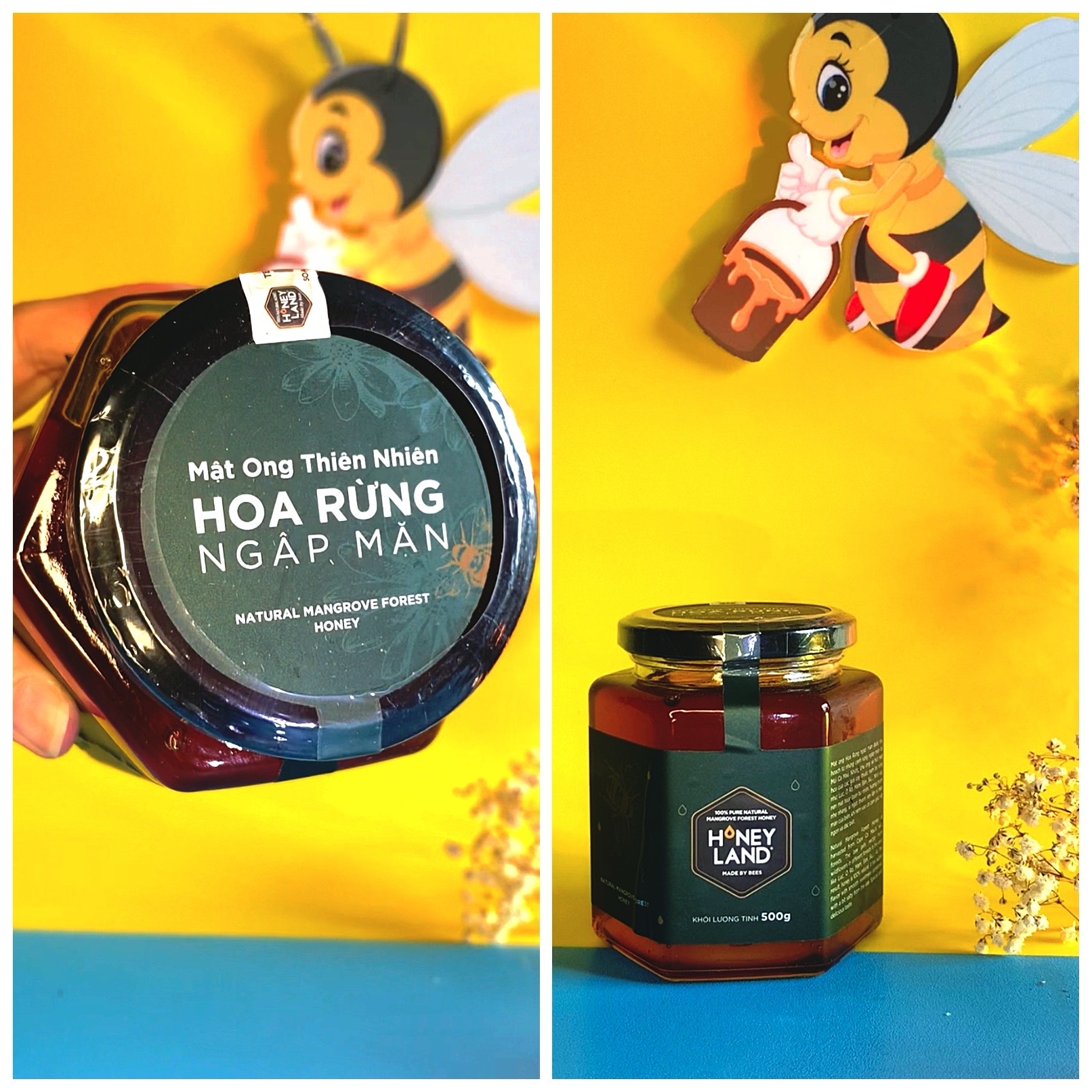 Mật Ong Thiên Nhiên Hoa Rừng Ngập Mặn HoneyLand