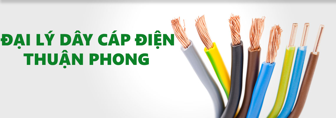 Đại lý dây cáp điện Tphcm