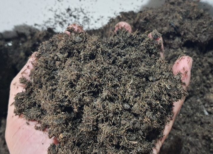 Phân Bò Hoai Mục (phân bò khô), công thức tuyệt vời để cải tạo đất