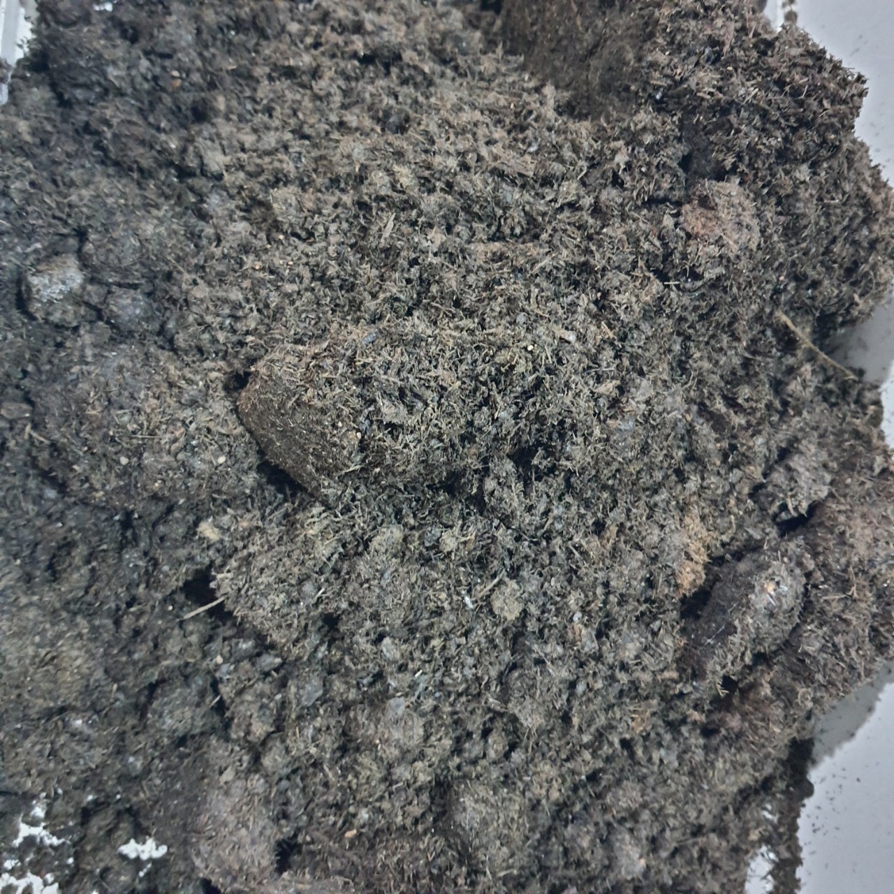 Phân Bò Hoai Mục (phân bò khô), công thức tuyệt vời để cải tạo đất