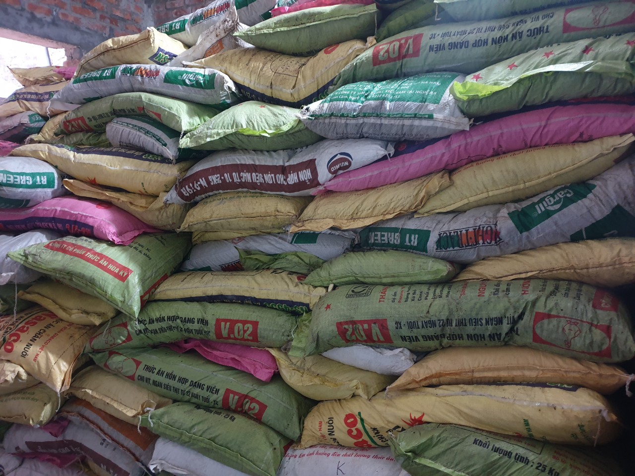 Mách bạn thời điểm bón phân bò lý tưởng nhất?