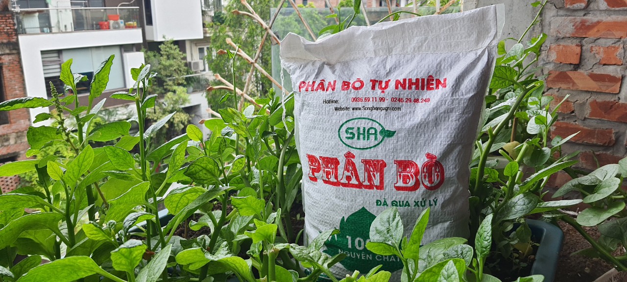 Mua phân bò khô (phân bò hoai mục) – Cho nông nhiệp sạch