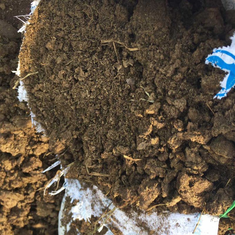 6 Điều cần Biết Khi Mua (Bán) Phân Bò Khô Trồng Cây