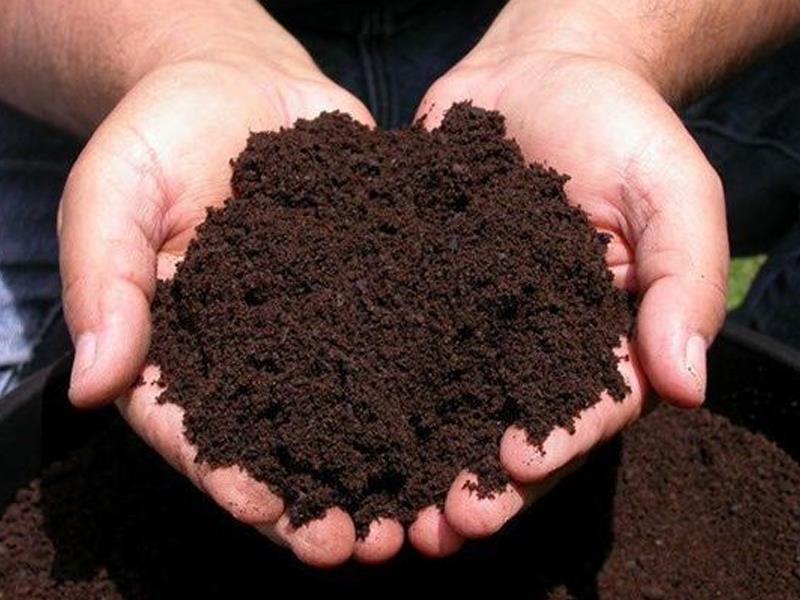 Cách tạo nên phân trùn quế