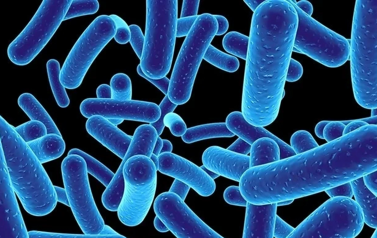 Chứa hệ vi sinh vật tự nhiên, khỏe mạnh