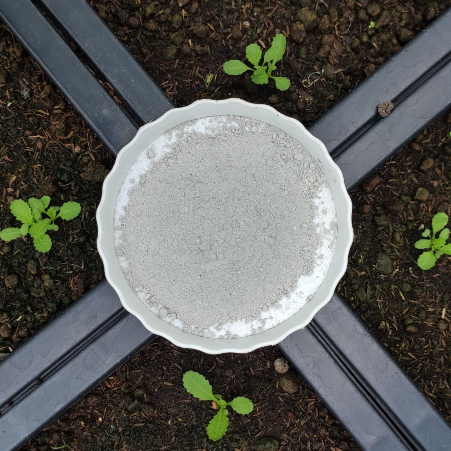 Trồng rau thì nên mua đất nào? Có cần trộn thêm gì không hay chỉ cần mua đất về là trồng được?