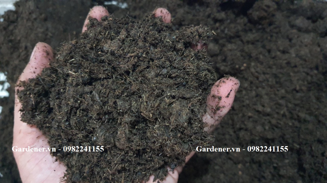 Phân bò hoai mục 100% nguyên chất giá rẻ.