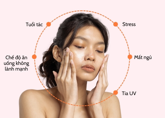 Nguyên nhân gây suy giảm Collagen