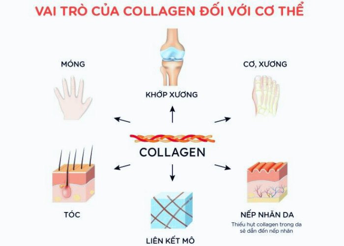 uống collagen có tác dụng gì cho phụ nữ