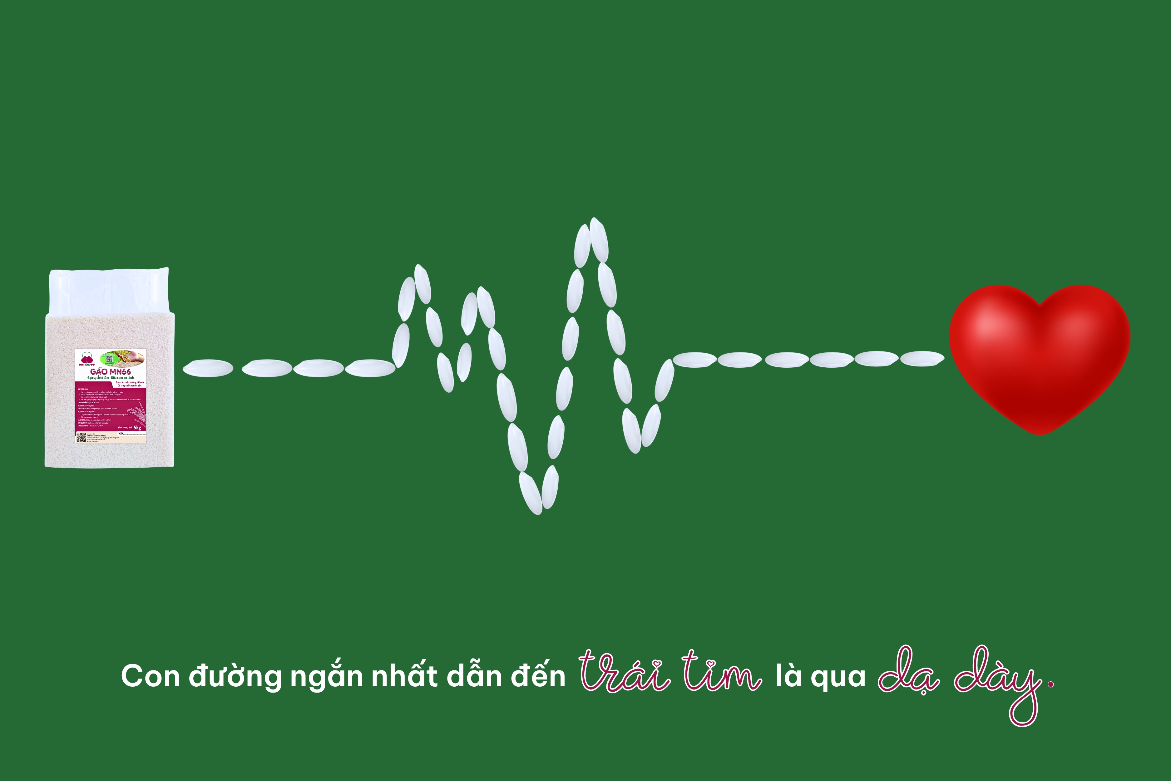 Gạo MN66 - Gạo sản xuất theo hướng hữu cơ