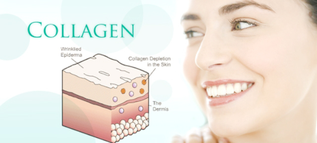 Collagen là từ lâu đã được biết đến như một dưỡng chất quý giá