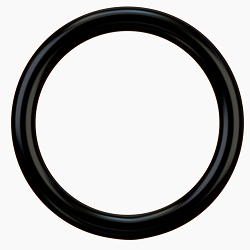 D ring seal