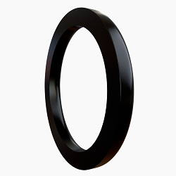 D ring seal