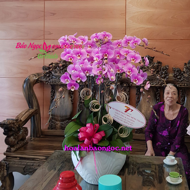 Tặng chậu hoa lan hồ điệp hồng trang trí ngôi nhà mới ngày tân gia