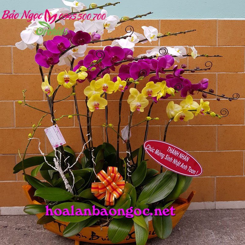 Chậu hoa phong lan sinh nhật tại New City Mai Chí Thọ, P. Bình Khánh, Q.2