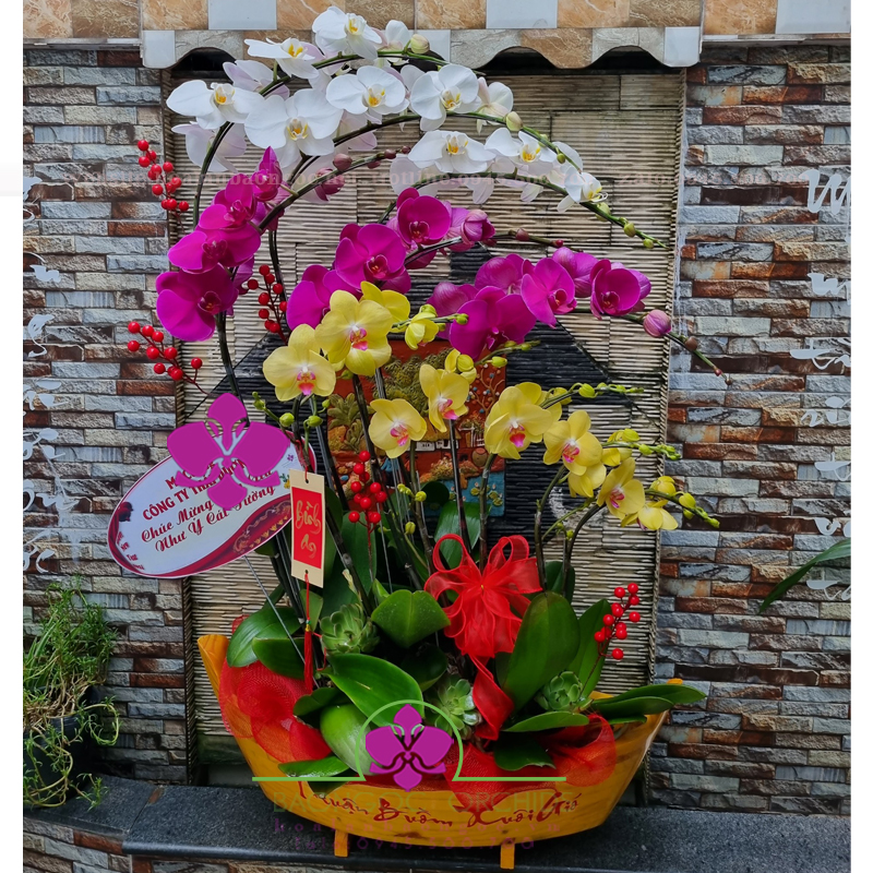 Thuyền hoa phong lan HDS-1020A