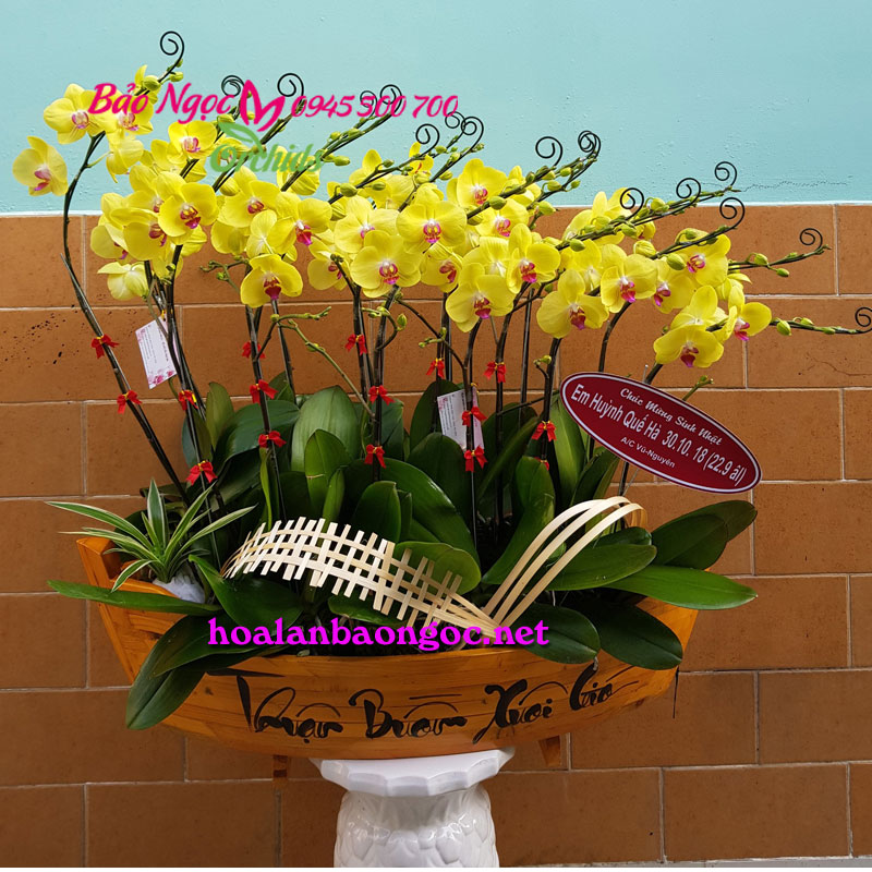 Hoa lan vàng ghép thuyền gỗ thuận buồm xuôi gió