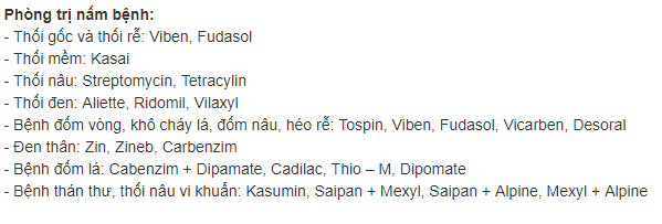 Một số loại thuốc phổ biến phòng và trị nấm trên hoa lan