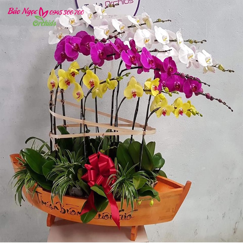 hoa lan hồ điệp vàng trắng tím ghép thành thuyền hoa đẹp.. Phù hợp dành tặng khai trương, tân gia v.v.